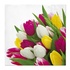 Papírenské zboží - Servietten PAW L 33x33 cm Bunch of Tulips